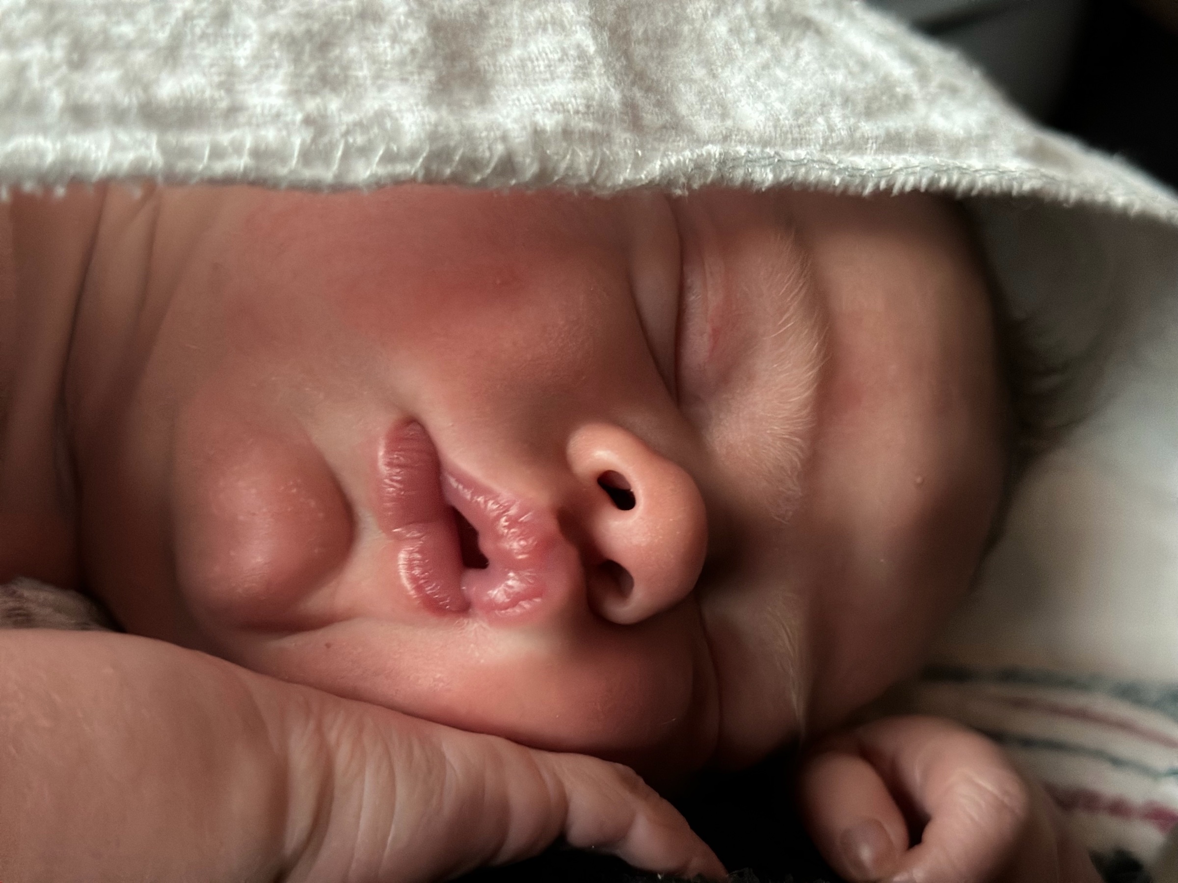 A sleeping newborn resting beneath a soft blanket